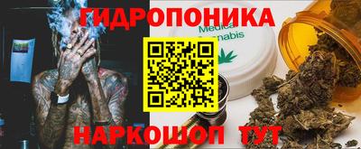 индика Берёзовский