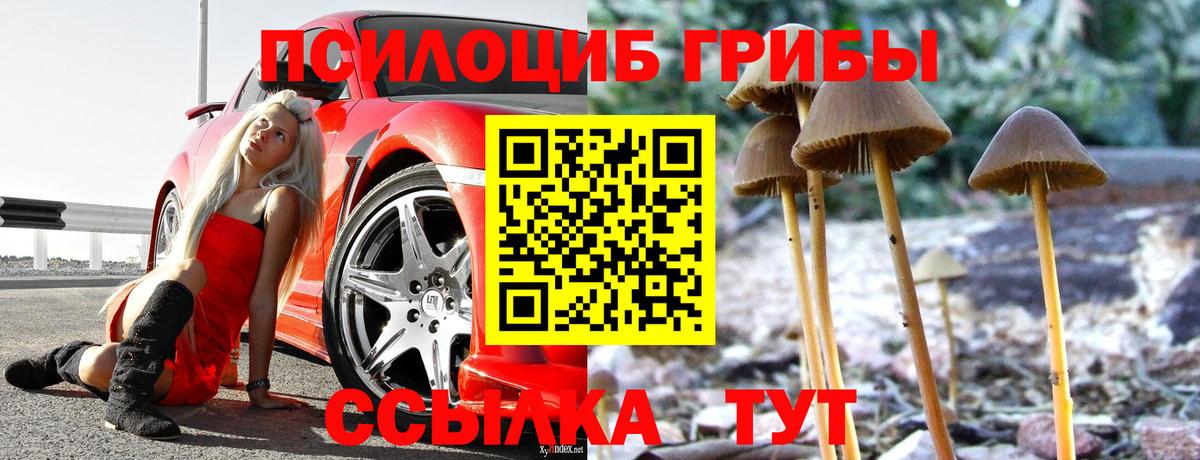 Галлюциногенные грибы прущие грибы Ипатово