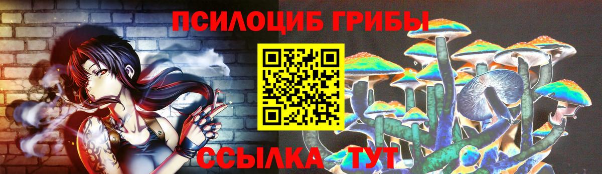 Ипатово  Галлюциногенные грибы Psilocybine cubensis  Вход с VPN 